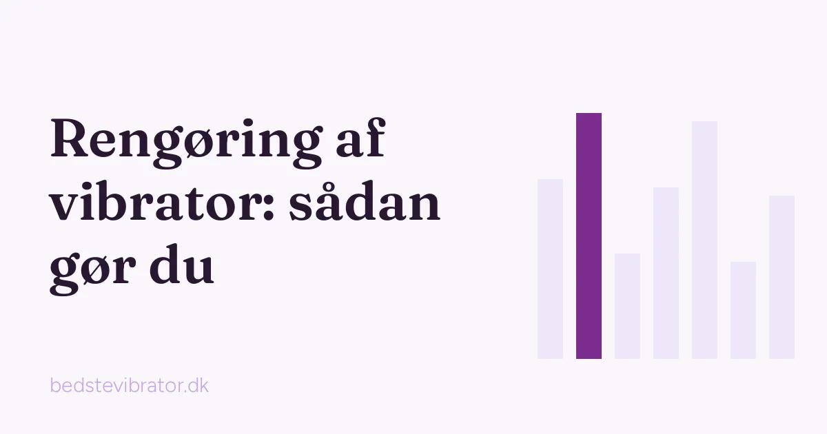 Rengøring af vibrator: titelgrafik med guidens overskrift